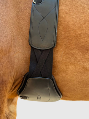 Correct Connect Removable Leather Pads for Pressure Relief Comfort Long Girth