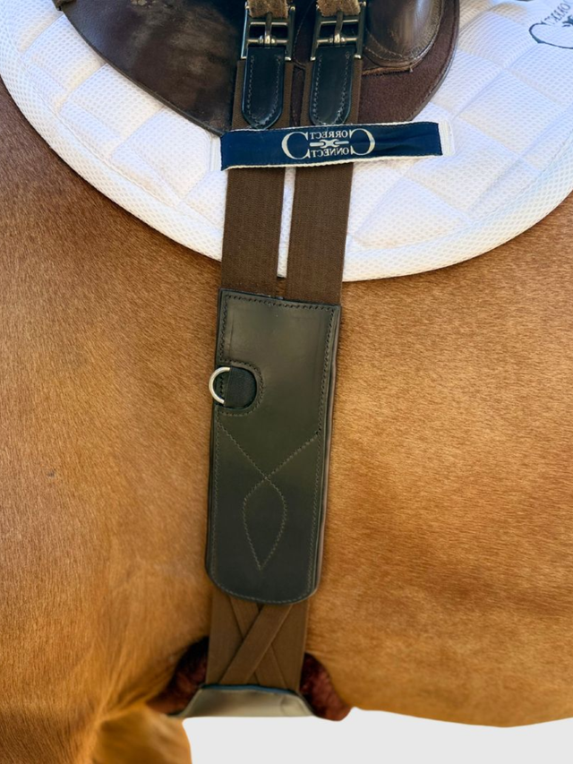 Correct Connect Pressure Relief Comfort Long Girth