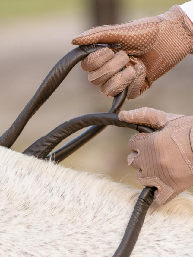 Correct Connect The Heather Comfort Connect Rein- Supportive Padded reins For Weak Hands and Better Connection