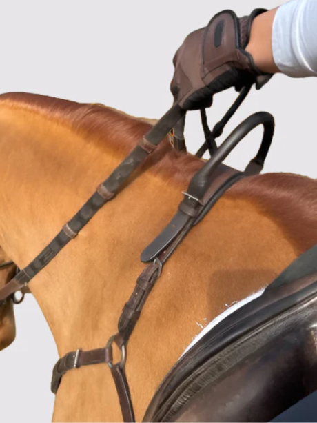 Correct Connect Free Motion Breastplate with Double Neck Strap