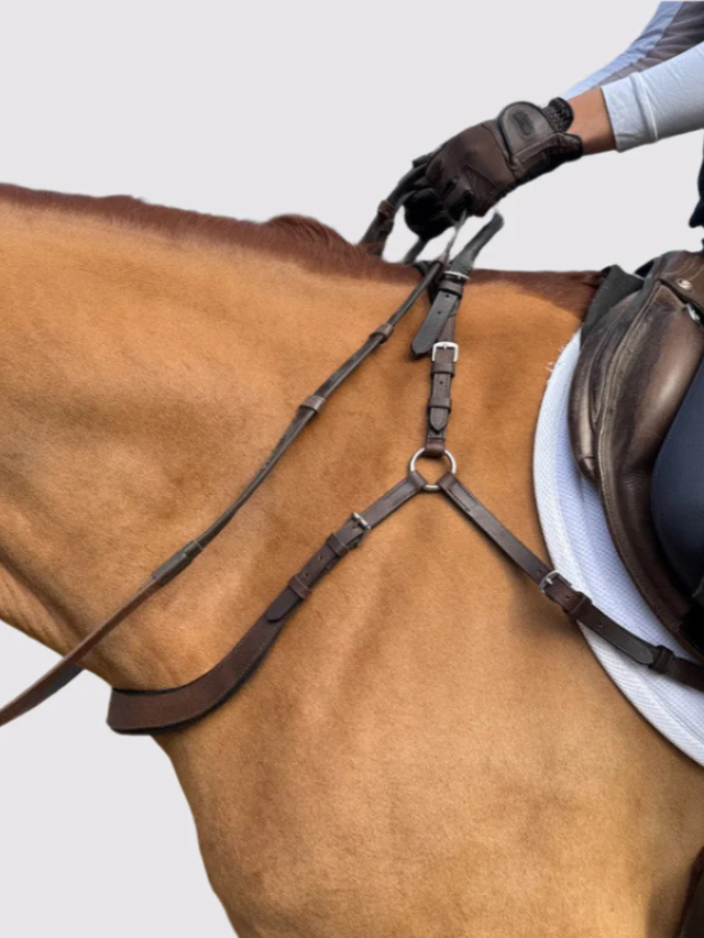 Correct Connect Free Motion Breastplate with Double Neck Strap