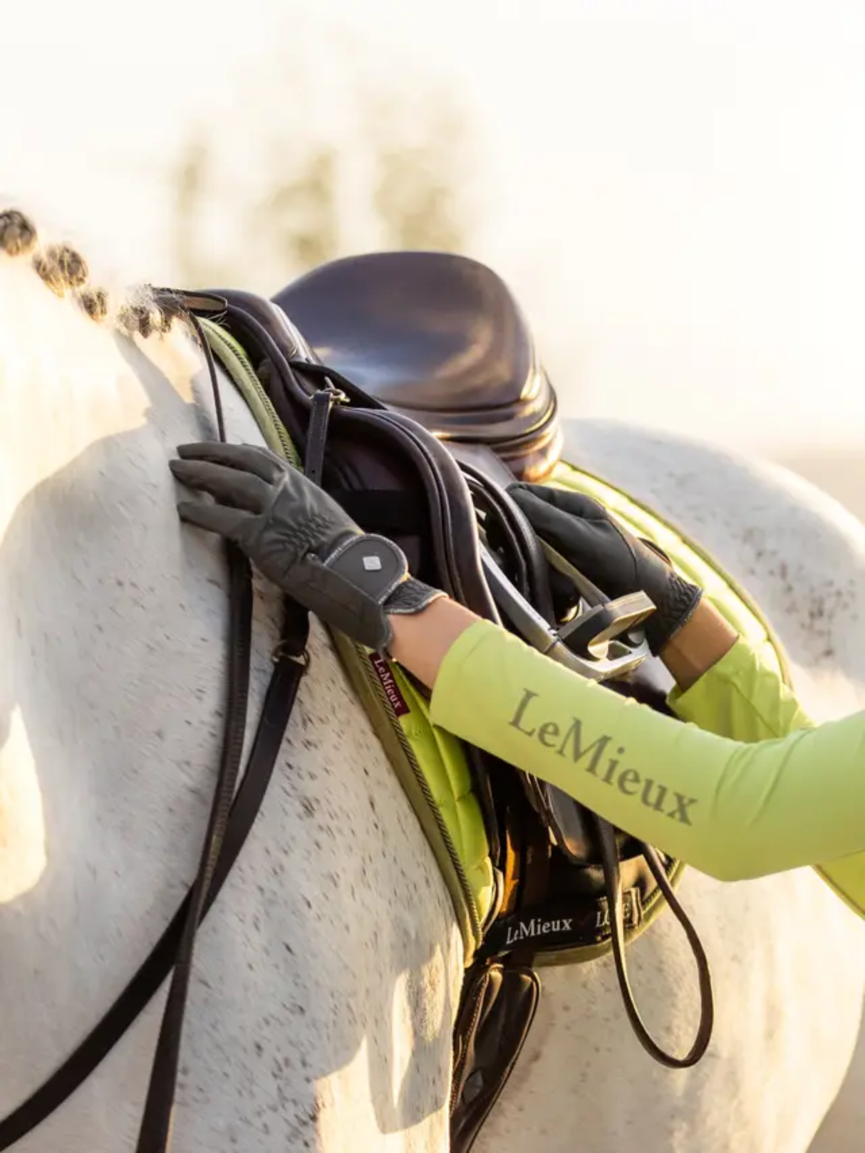 LeMieux Classic Riding Gloves Grey