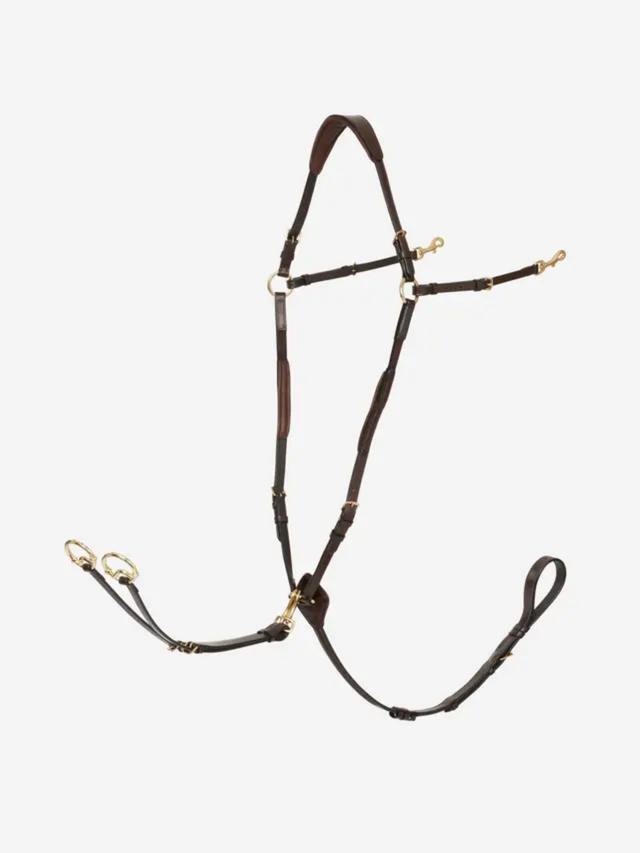 LeMieux Breastplate (D-Ring Attachment) Havana/Brass
