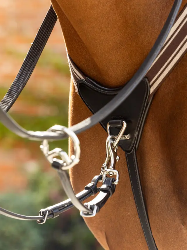 LeMieux Arika Elasticated Breastplate Brown/Silver
