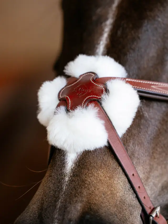 LeMieux Kudos Grackle Bridle