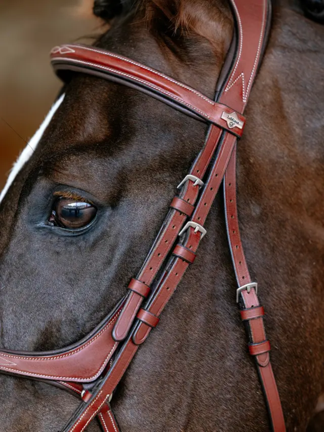 LeMieux Kudos Grackle Bridle