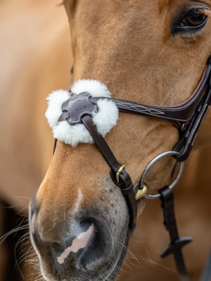 LeMieux Kudos Grackle Bridle