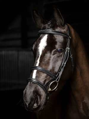 LeMieux Kudos Double Noseband Bridle