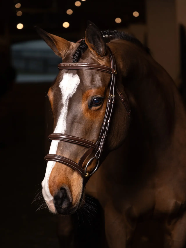 LeMieux Kudos Double Noseband Bridle