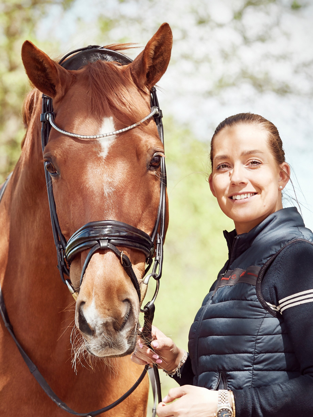 Finesse Cassidy Snaffle Bridle Version 2.0