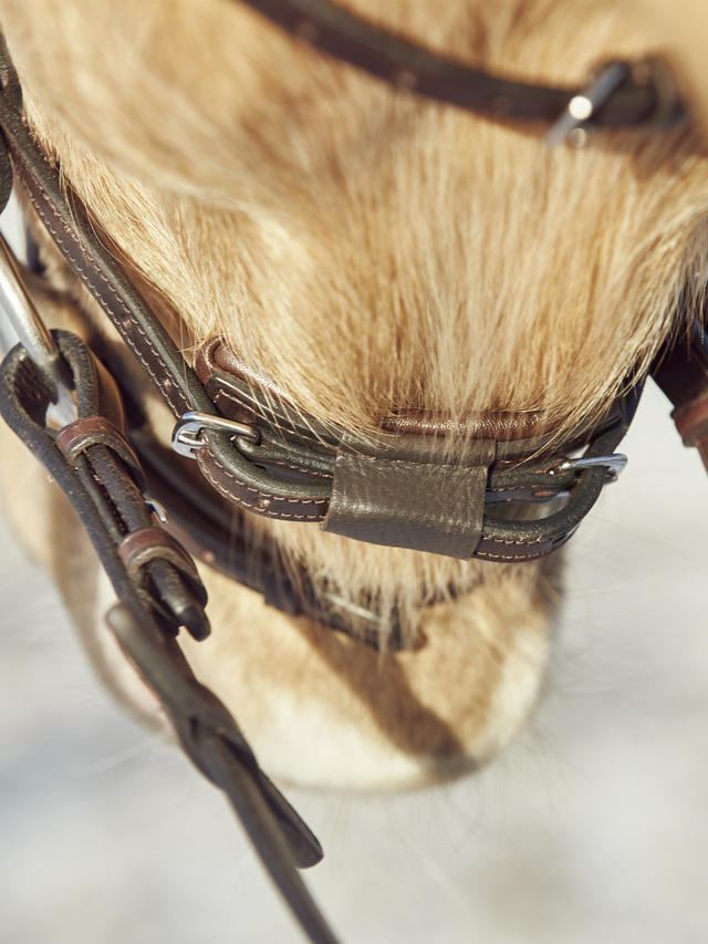 Finesse Spirit Flat Snaffle Bridle Version 2.0