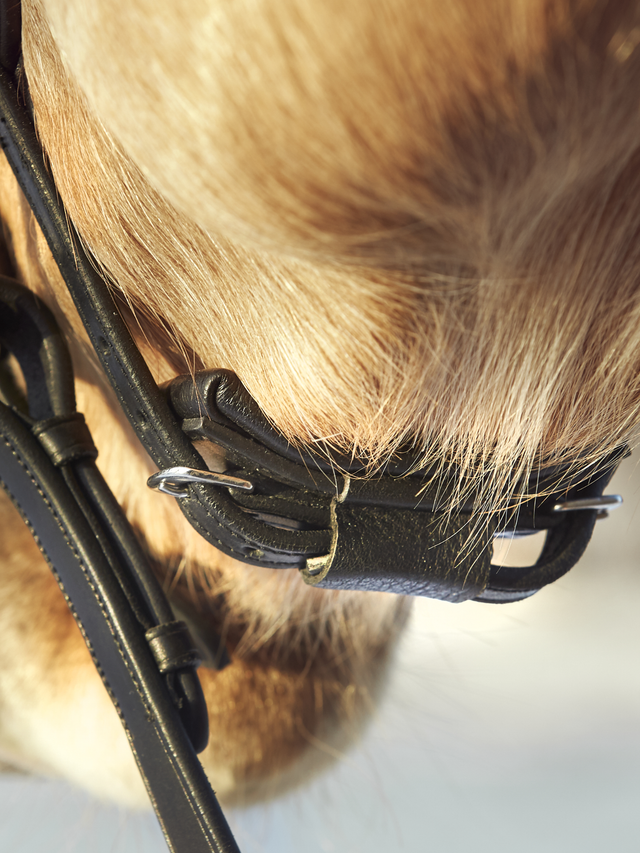 Finesse Spirit Flat Snaffle Bridle Version 2.0