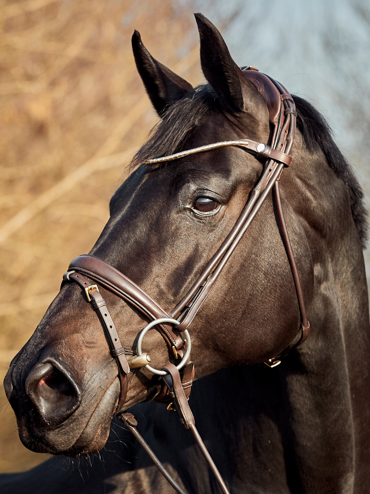 Finesse Himalayas Snaffle Bridle Version 2.0