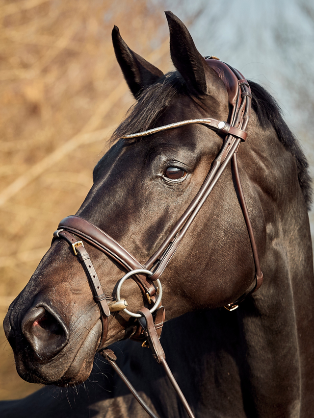 Finesse Himalayas Snaffle Bridle Version 2.0