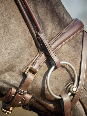 Finesse Himalayas Snaffle Bridle Version 2.0