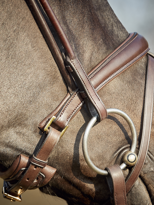 Finesse Himalayas Snaffle Bridle Version 2.0