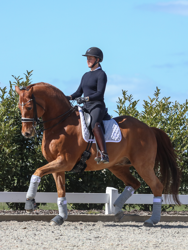 Finesse Cassidy Double Bridle 2.0