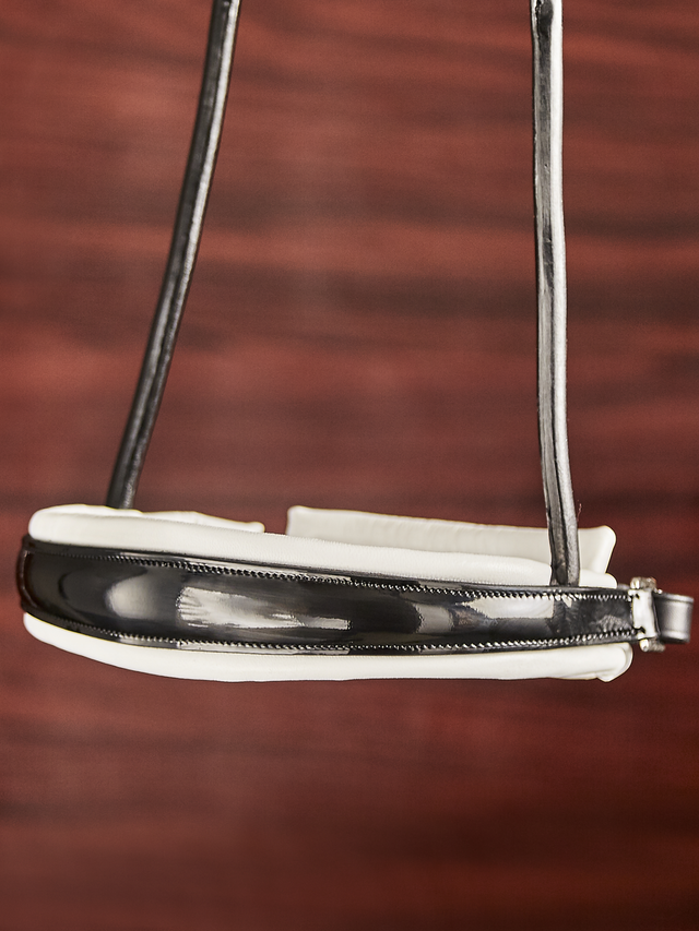 Finesse Cassidy Double Bridle 2.0