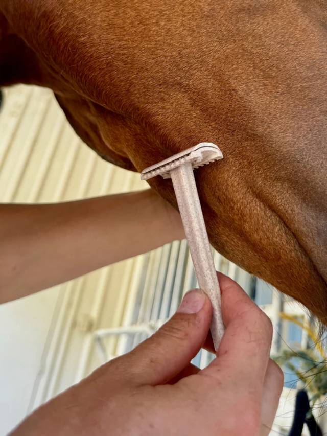Hairy Pony Double Edge Safety Razors - 3 Pack