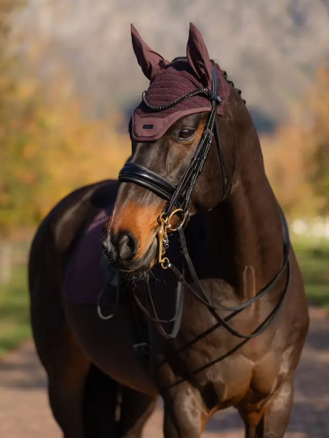 LeMieux Essence Fly Hood Damson