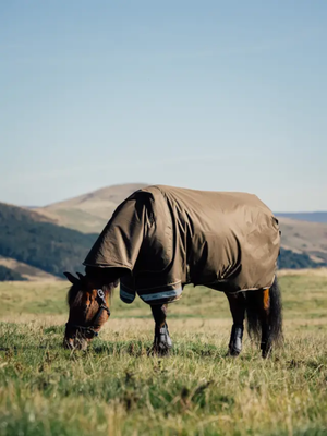 LeMieux Arika Ripstop 0g Turnout Rug Alpine