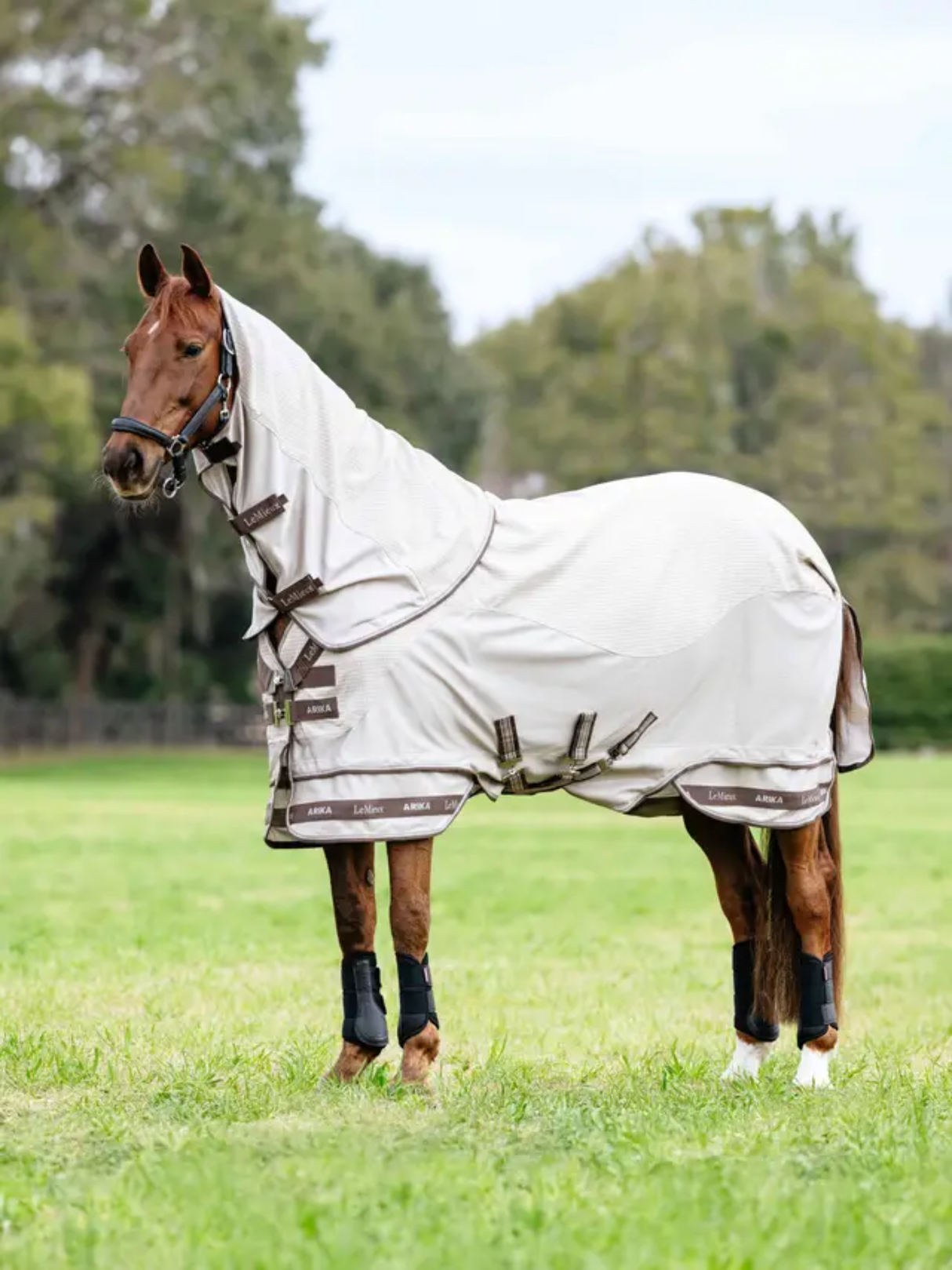 LeMieux Arika Sunstopper Sheet Stone