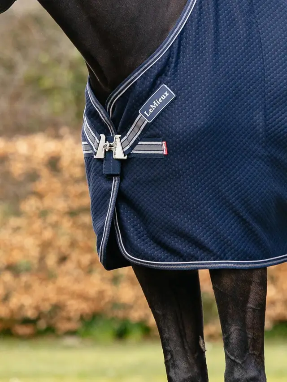LeMieux Kudos Bamboo Cooler Navy