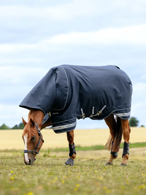 LeMieux Arika Storm-Tek Rug 350g Navy