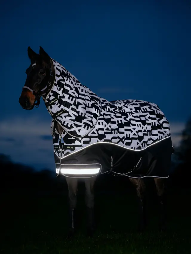 LeMieux Arika Reflective 0g Turnout Rug Black