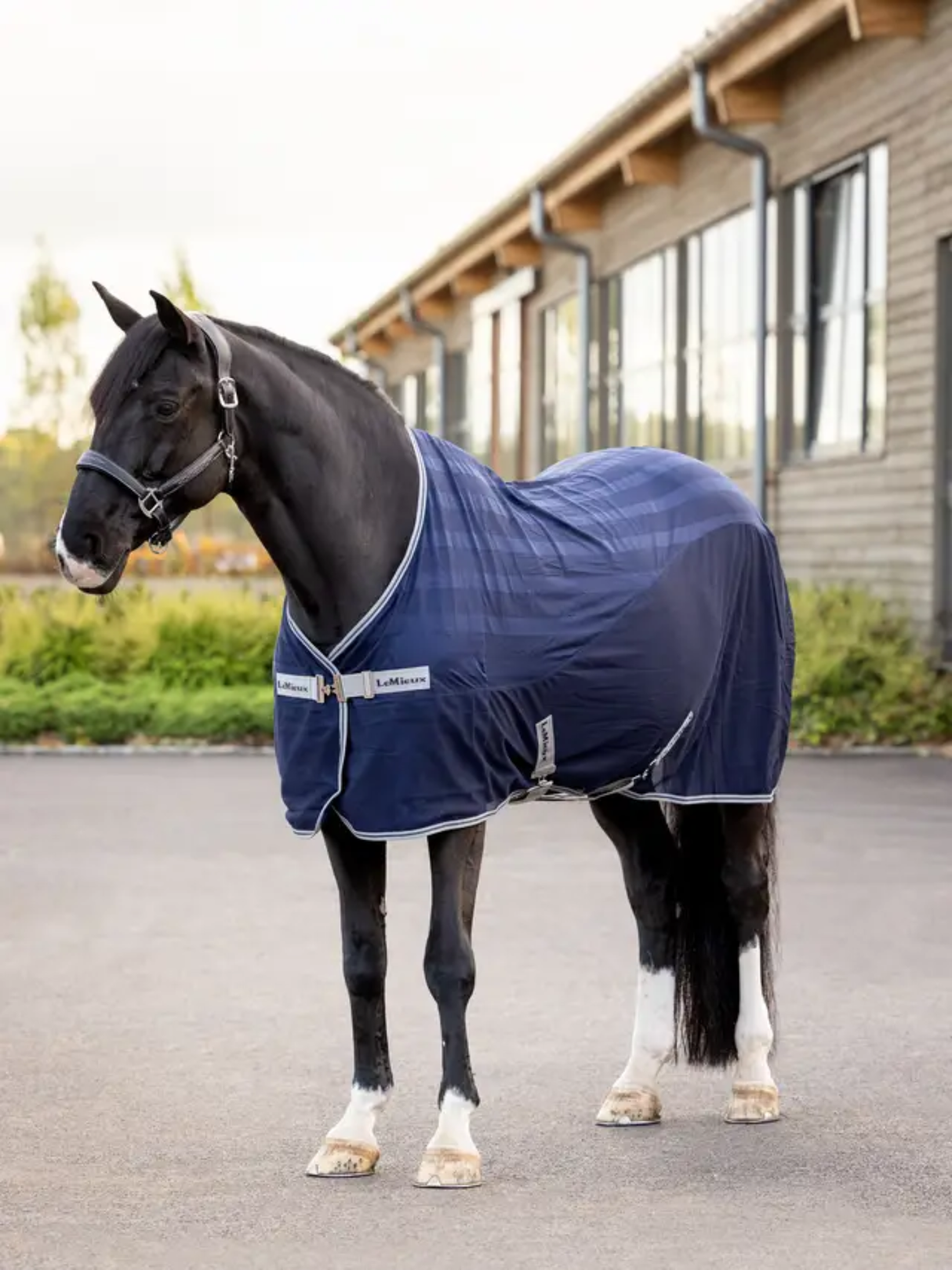 LeMieux Arika Air-Tek Sheet Navy