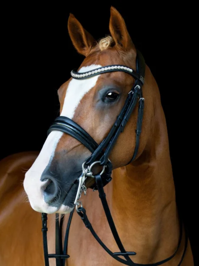 SD Design Mystery Double Bridle Black/Glitter