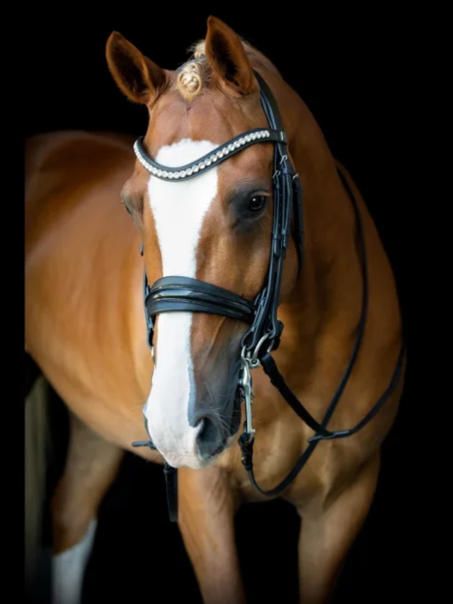 SD Design Mystery Double Bridle Black/Glitter