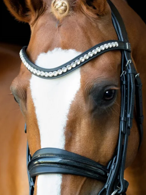 SD Design Mystery Double Bridle Black/Glitter Patent