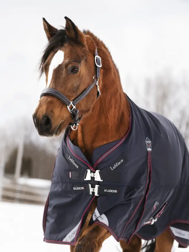 LeMieux Kudos Turnout Rug 200g Navy