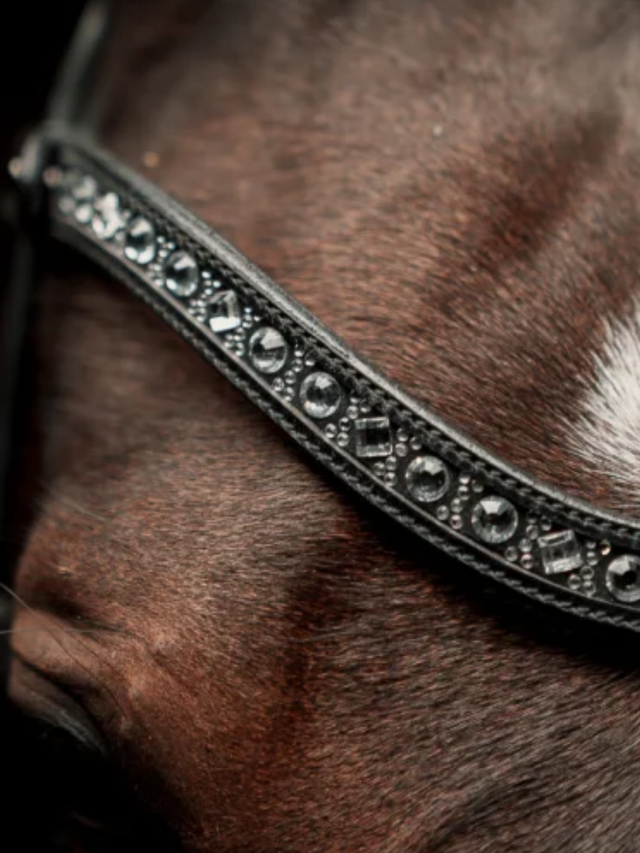 SD Design Antobello Bridle Black