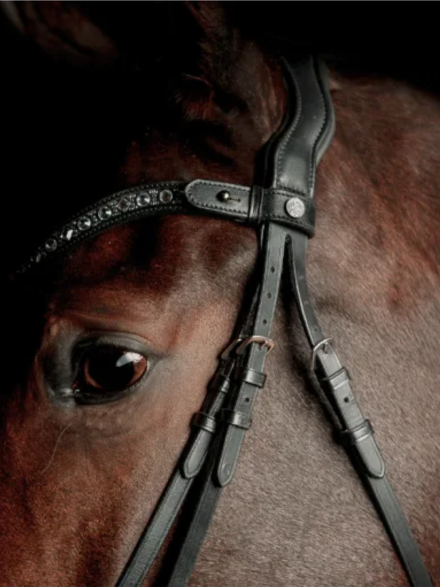 SD Design Antobello Bridle Black
