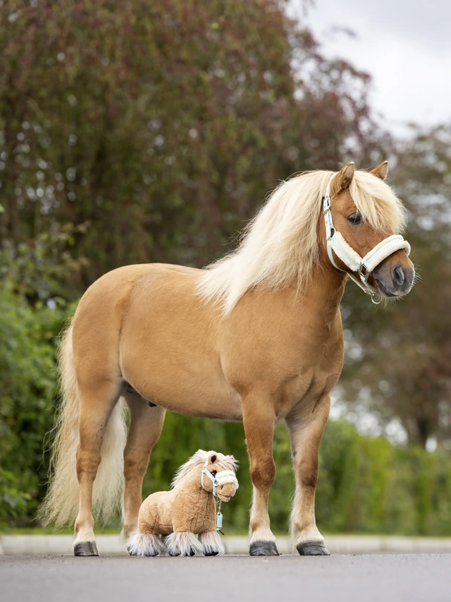 LeMieux Toy Pony Cloudy