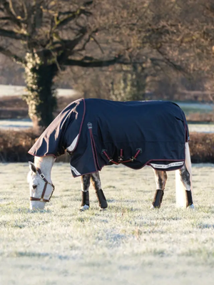 LeMieux Kudos Turnout Rug 100g Navy