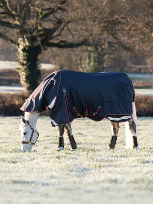 LeMieux Kudos Turnout Rug 100g Navy