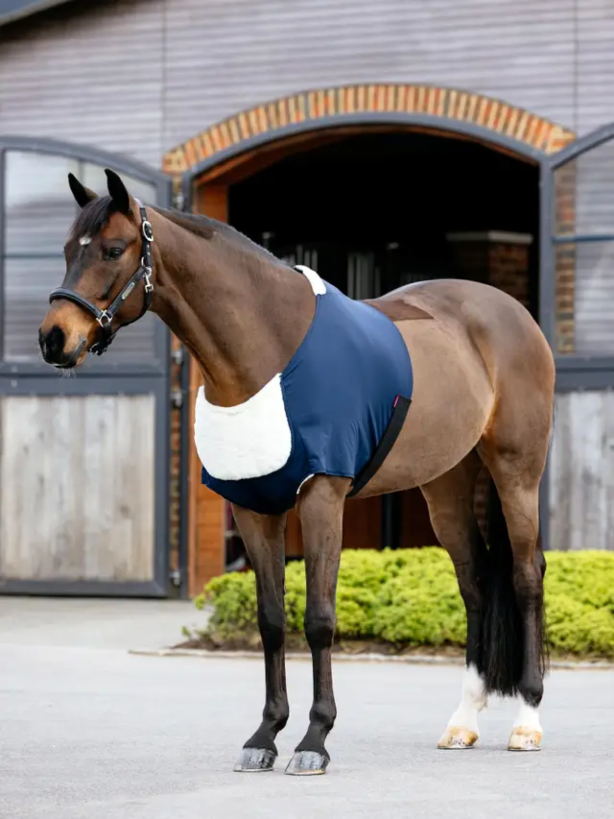 LeMieux Sensitive Anti Rub Bib Navy