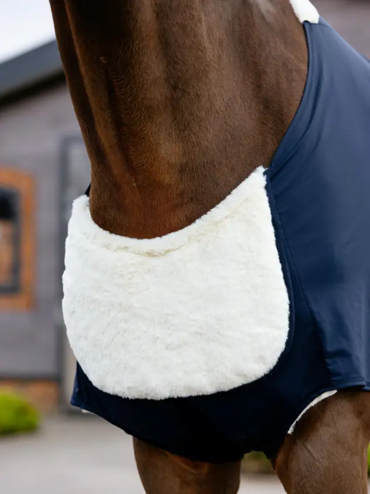 LeMieux Sensitive Anti Rub Bib Navy