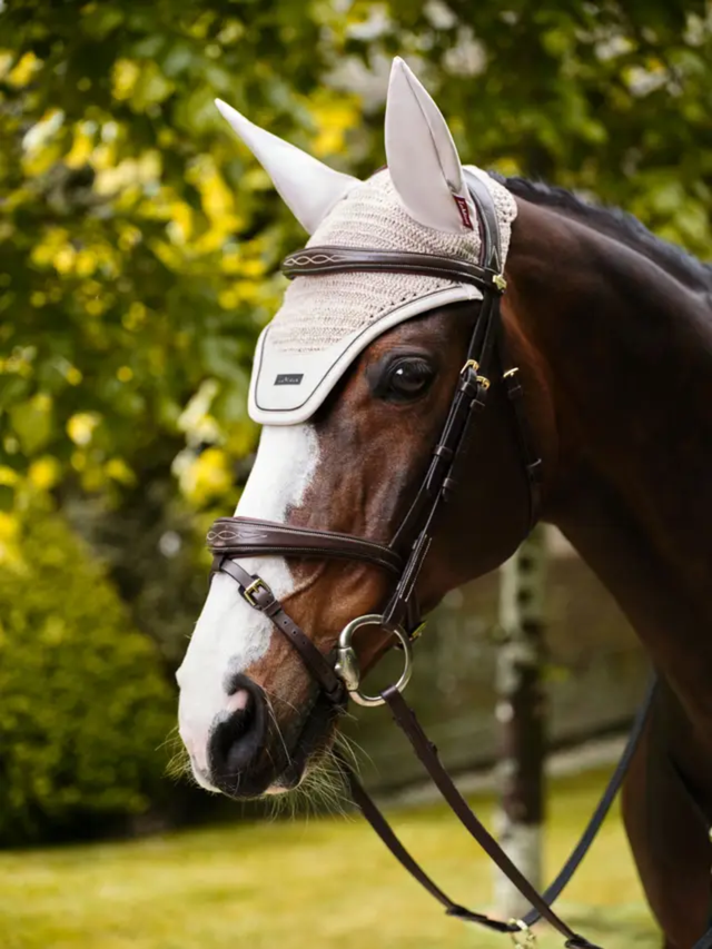 LeMieux Essence Acoustic Fly Hood Stone