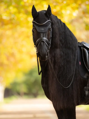 LeMieux Essence Acoustic Fly Hood Black