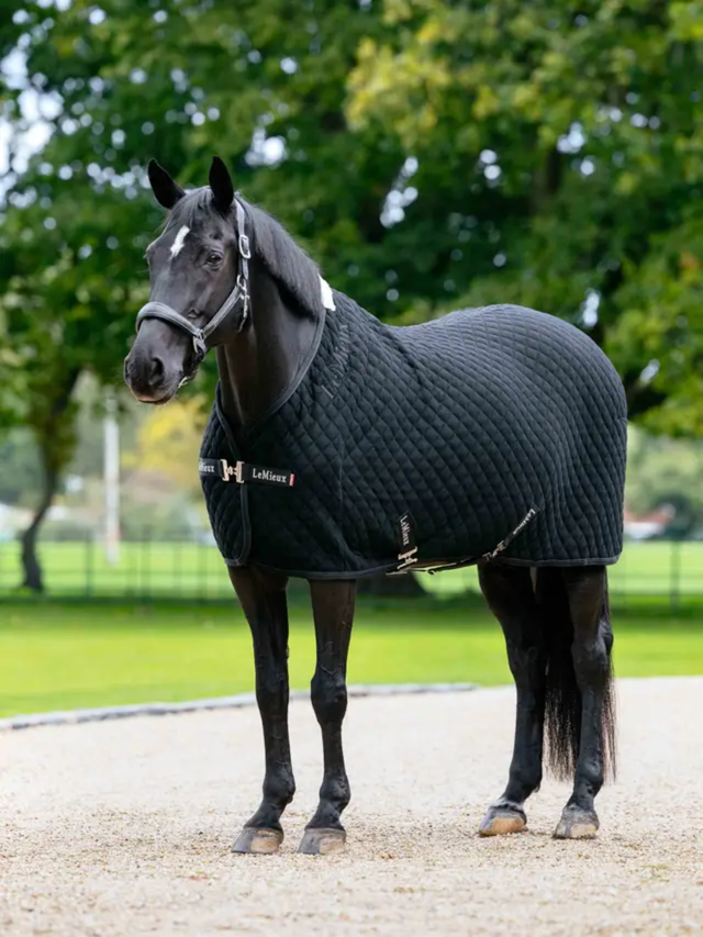 LeMieux Arika Clima-Tek Rug Black