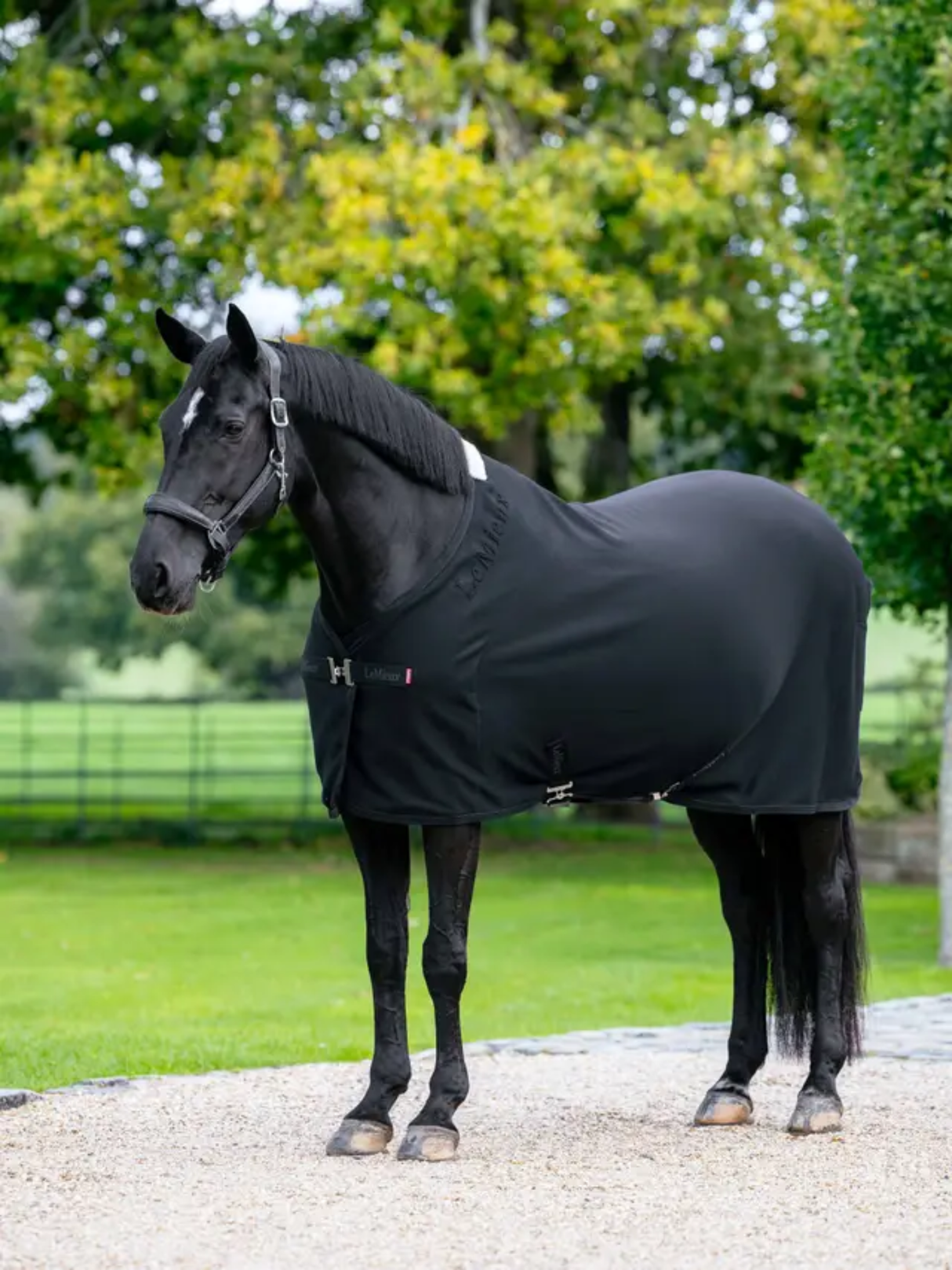 LeMieux Arika Jersey-Tek Fleece Black