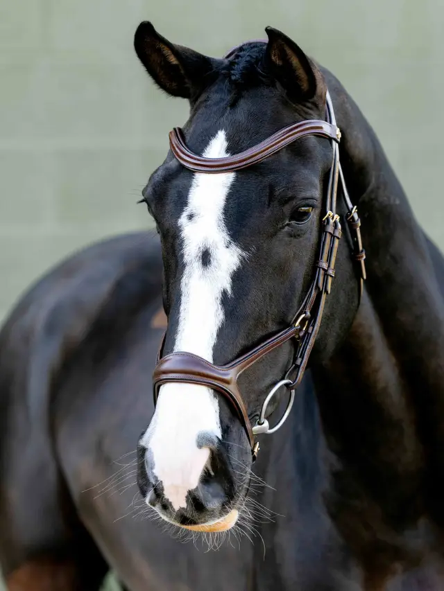LeMieux Kudos Sport Bridle Havana/Brass