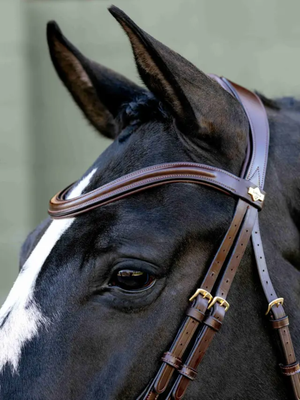 LeMieux Kudos Sport Bridle Havana/Brass