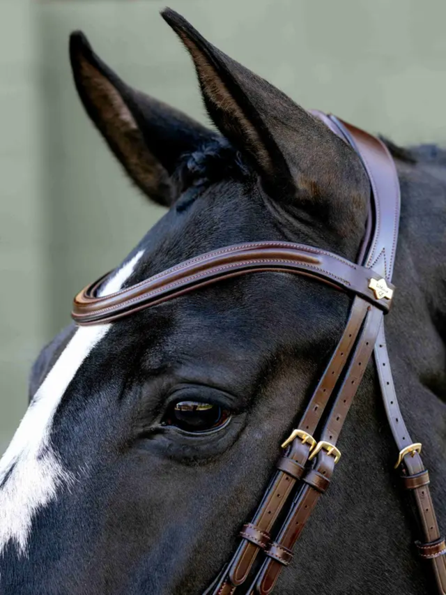 LeMieux Kudos Sport Bridle Havana/Brass