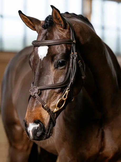 LeMieux Kudos Grackle Work Bridle Brown