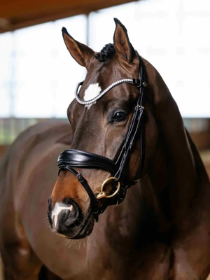 LeMieux Kudos Anatomic Dressage Bridle Black